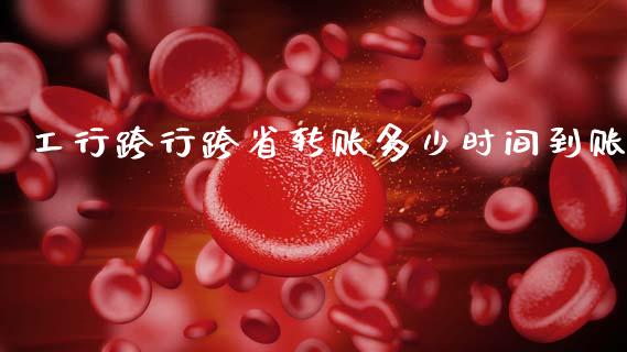 工行跨行跨省转账多少时间到账_https://m.sdyuehang.cn_德指直播室_第1张