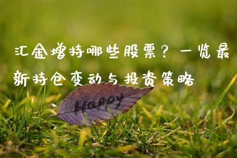 汇金增持哪些股票？一览最新持仓变动与投资策略_https://m.sdyuehang.cn_纳指直播喊单_第1张