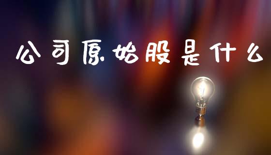 公司原始股是什么_https://m.sdyuehang.cn_国际期货恒指直播间_第1张