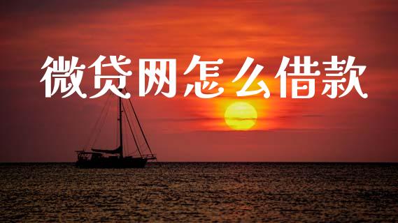 微贷网怎么借款_https://m.sdyuehang.cn_国际期货恒指直播间_第1张