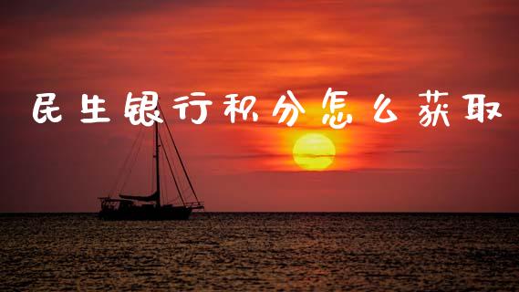 民生银行积分怎么获取_https://m.sdyuehang.cn_恒指直播_第1张