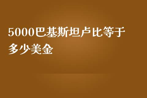 5000巴基斯坦卢比等于多少美金_https://m.sdyuehang.cn_恒指直播_第1张