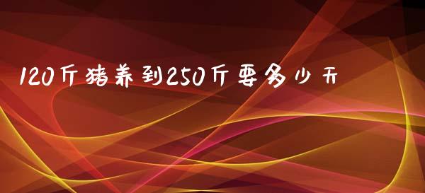120斤猪养到250斤要多少天_https://m.sdyuehang.cn_纳指直播喊单_第1张