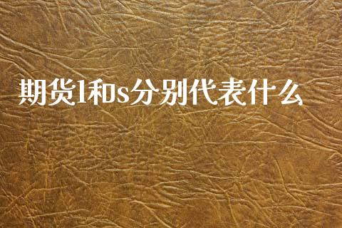 期货l和s分别代表什么_https://m.sdyuehang.cn_恒指直播_第1张