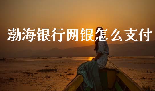 渤海银行网银怎么支付_https://m.sdyuehang.cn_纳指直播喊单_第1张