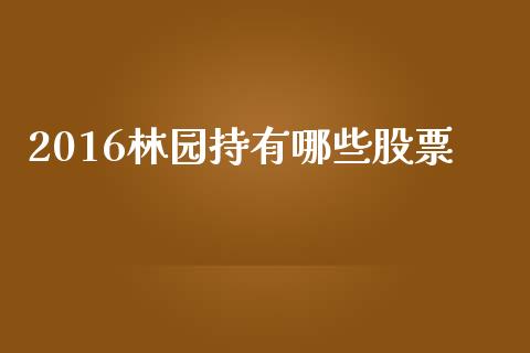 2016林园持有哪些股票_https://m.sdyuehang.cn_纳指直播喊单_第1张