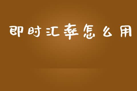 即时汇率怎么用_https://m.sdyuehang.cn_国际期货恒指直播间_第1张