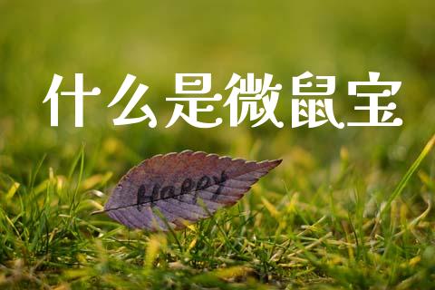 什么是微鼠宝_https://m.sdyuehang.cn_恒指直播_第1张
