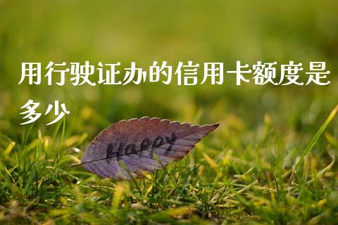 用行驶证办的信用卡额度是多少_https://m.sdyuehang.cn_国际期货恒指直播间_第1张