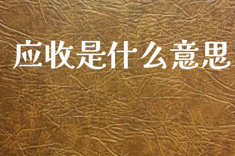 应收是什么意思_https://m.sdyuehang.cn_国际期货恒指直播间_第1张