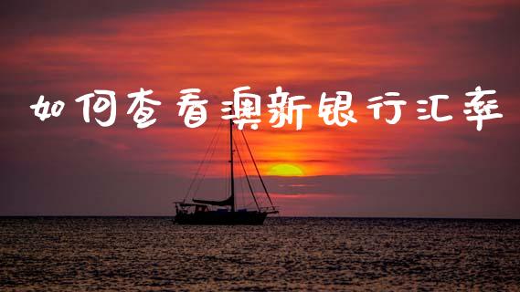 如何查看澳新银行汇率_https://m.sdyuehang.cn_国际期货恒指直播间_第1张