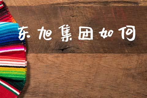 东旭集团如何_https://m.sdyuehang.cn_恒指直播_第1张