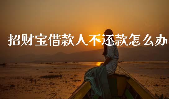 招财宝借款人不还款怎么办_https://m.sdyuehang.cn_德指直播室_第1张