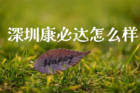 深圳康必达怎么样_https://m.sdyuehang.cn_德指直播室_第1张