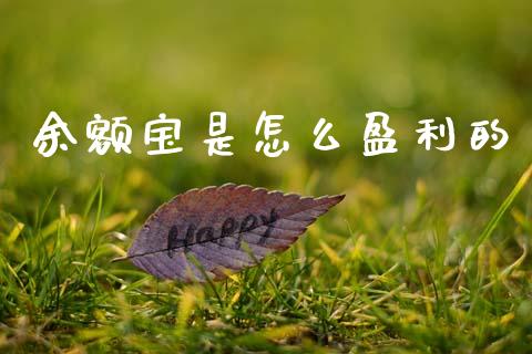 余额宝是怎么盈利的_https://m.sdyuehang.cn_恒指直播_第1张
