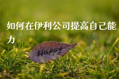 如何在伊利公司提高自己能力_https://m.sdyuehang.cn_纳指直播喊单_第1张