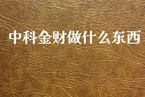 中科金财做什么东西_https://m.sdyuehang.cn_纳指直播喊单_第1张