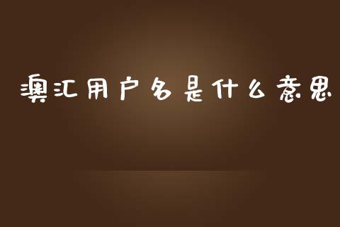 澳汇用户名是什么意思_https://m.sdyuehang.cn_国际期货恒指直播间_第1张