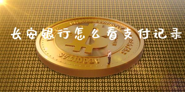 长安银行怎么看支付记录_https://m.sdyuehang.cn_国际期货恒指直播间_第1张