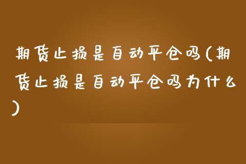 期货止损是自动平仓吗(期货止损是自动平仓吗为什么)_https://m.sdyuehang.cn_德指直播室_第1张