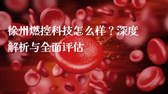 徐州燃控科技怎么样？深度解析与全面评估_https://m.sdyuehang.cn_德指直播室_第1张