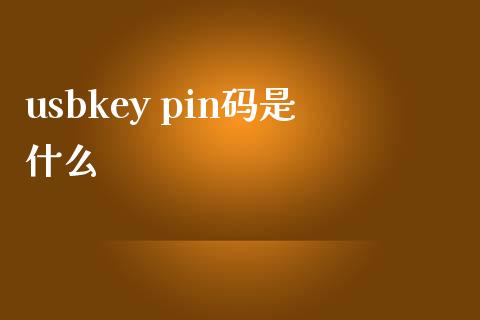 usbkey pin码是什么_https://m.sdyuehang.cn_纳指直播喊单_第1张