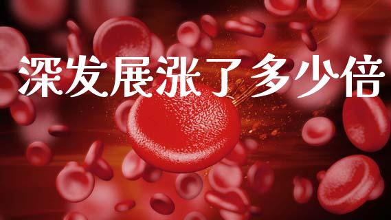 深发展涨了多少倍_https://m.sdyuehang.cn_恒指直播_第1张