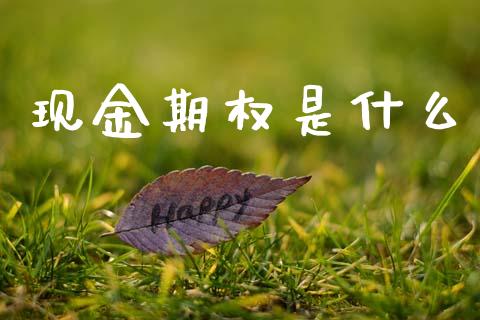 现金期权是什么_https://m.sdyuehang.cn_德指直播室_第1张