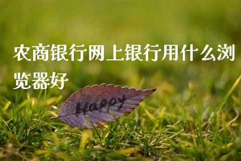 农商银行网上银行用什么浏览器好_https://m.sdyuehang.cn_纳指直播喊单_第1张