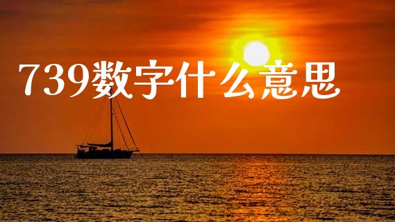 739数字什么意思_https://m.sdyuehang.cn_德指直播室_第1张