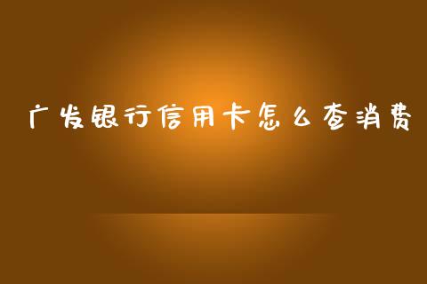 广发银行信用卡怎么查消费_https://m.sdyuehang.cn_德指直播室_第1张