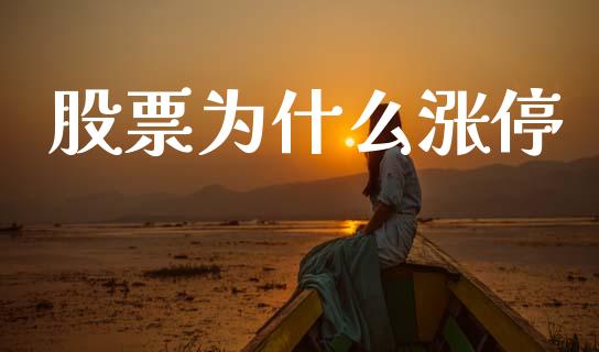 股票为什么涨停_https://m.sdyuehang.cn_恒指直播_第1张