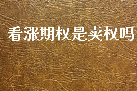 看涨期权是卖权吗_https://m.sdyuehang.cn_国际期货恒指直播间_第1张