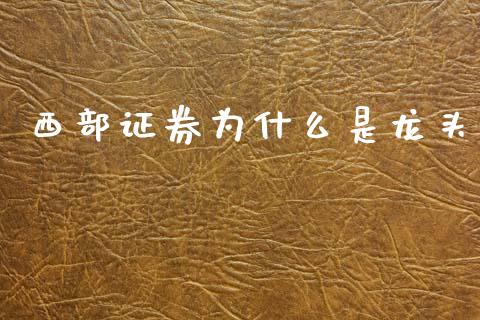 西部证券为什么是龙头_https://m.sdyuehang.cn_德指直播室_第1张