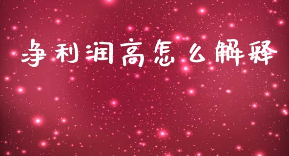 净利润高怎么解释_https://m.sdyuehang.cn_纳指直播喊单_第1张