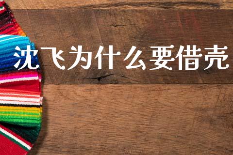 沈飞为什么要借壳_https://m.sdyuehang.cn_国际期货恒指直播间_第1张