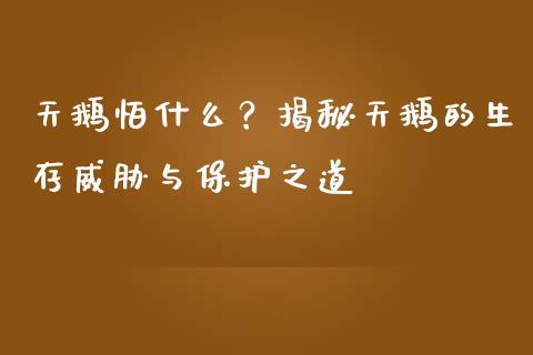 天鹅怕什么？揭秘天鹅的生存威胁与保护之道_https://m.sdyuehang.cn_国际期货恒指直播间_第1张