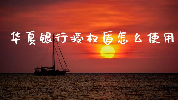 华夏银行授权盾怎么使用_https://m.sdyuehang.cn_国际期货恒指直播间_第1张
