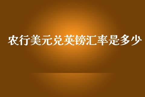 农行美元兑英镑汇率是多少_https://m.sdyuehang.cn_恒指直播_第1张