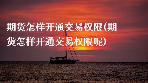 期货怎样开通交易权限(期货怎样开通交易权限呢)_https://m.sdyuehang.cn_纳指直播喊单_第1张
