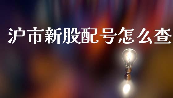 沪市新股配号怎么查_https://m.sdyuehang.cn_纳指直播喊单_第1张