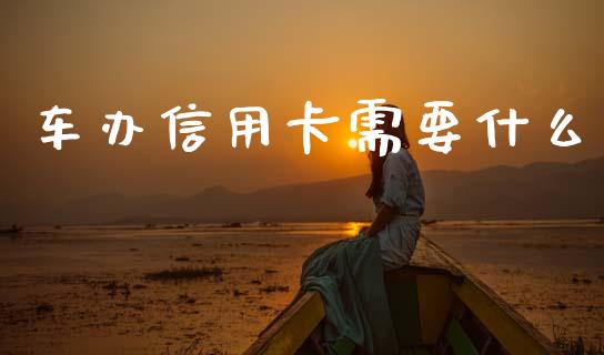 车办信用卡需要什么_https://m.sdyuehang.cn_纳指直播喊单_第1张