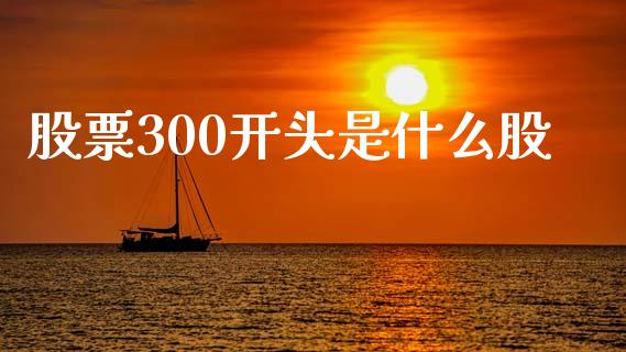 股票300开头是什么股_https://m.sdyuehang.cn_恒指直播_第1张