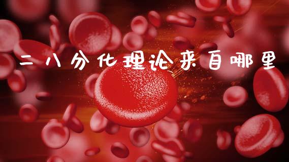 二八分化理论来自哪里_https://m.sdyuehang.cn_德指直播室_第1张