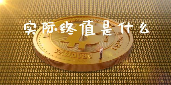 实际终值是什么_https://m.sdyuehang.cn_纳指直播喊单_第1张