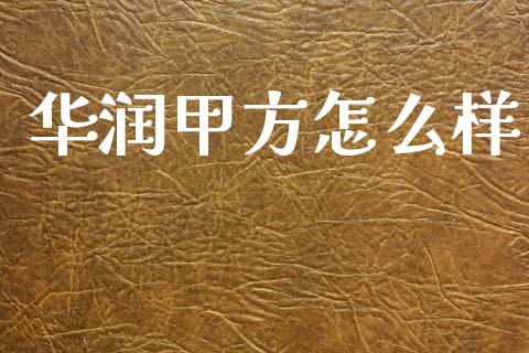 华润甲方怎么样_https://m.sdyuehang.cn_国际期货恒指直播间_第1张