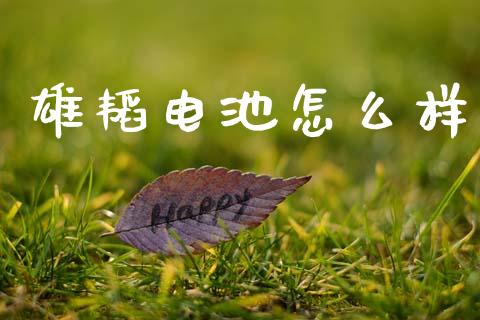 雄韬电池怎么样_https://m.sdyuehang.cn_国际期货恒指直播间_第1张
