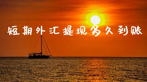 短期外汇提现多久到账_https://m.sdyuehang.cn_德指直播室_第1张