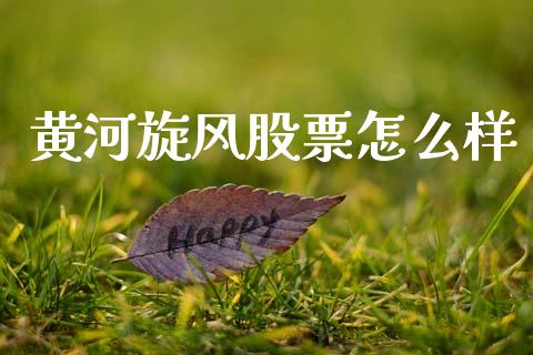 黄河旋风股票怎么样_https://m.sdyuehang.cn_德指直播室_第1张