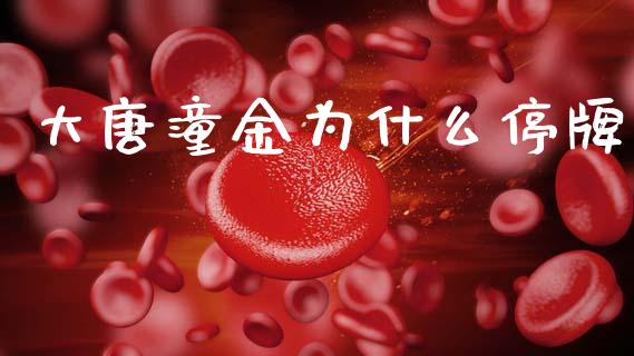 大唐潼金为什么停牌_https://m.sdyuehang.cn_国际期货恒指直播间_第1张